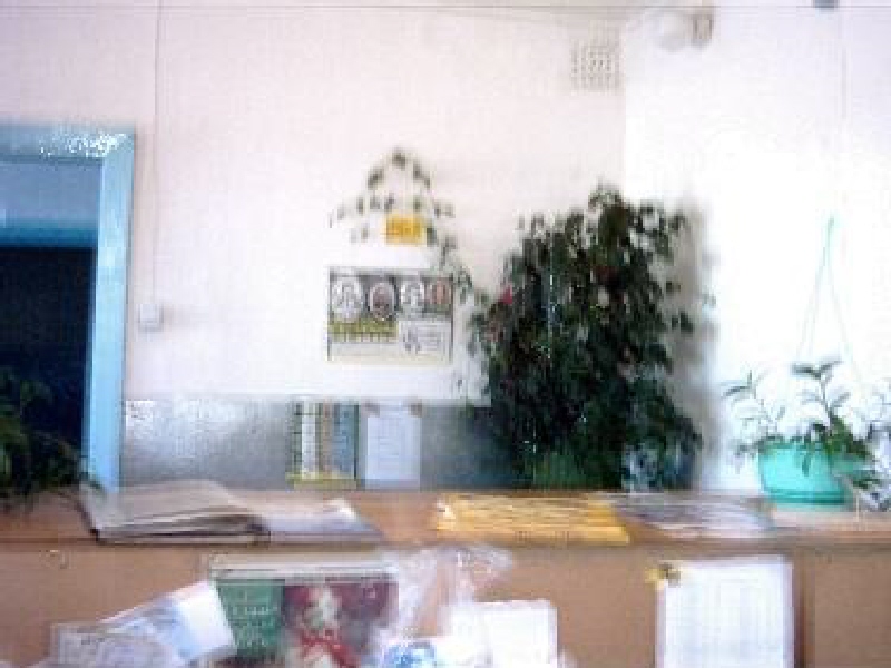 ОПЕРАЦИОННЫЙ ЗАЛ, фото № 2, отделение почтовой связи 674359, Забайкальский край, Калганский р-он, Шивия